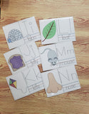 Alphabet Flash Cards PLUS Alphabet Chart