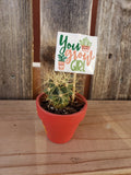 Plant Mini Signs Bundle