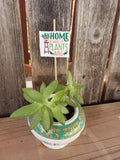 Plant Mini Signs Bundle