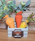 Farm Fresh Carrot Stuffies and Sign