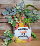 Farm Fresh Carrot Stuffies and Sign