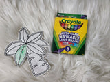$5 Friday Dino Coloring Doll Bundle