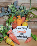 Farm Fresh Carrot Stuffies and Sign